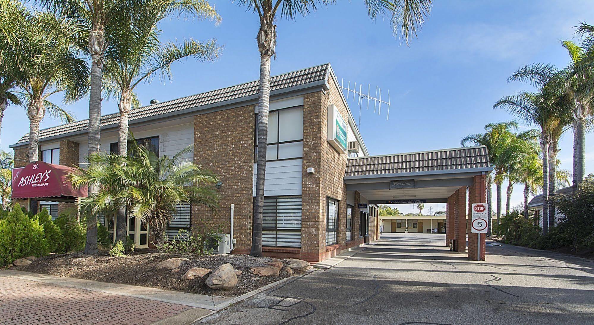 Citrus Valley Motel Renmark Exteriér fotografie